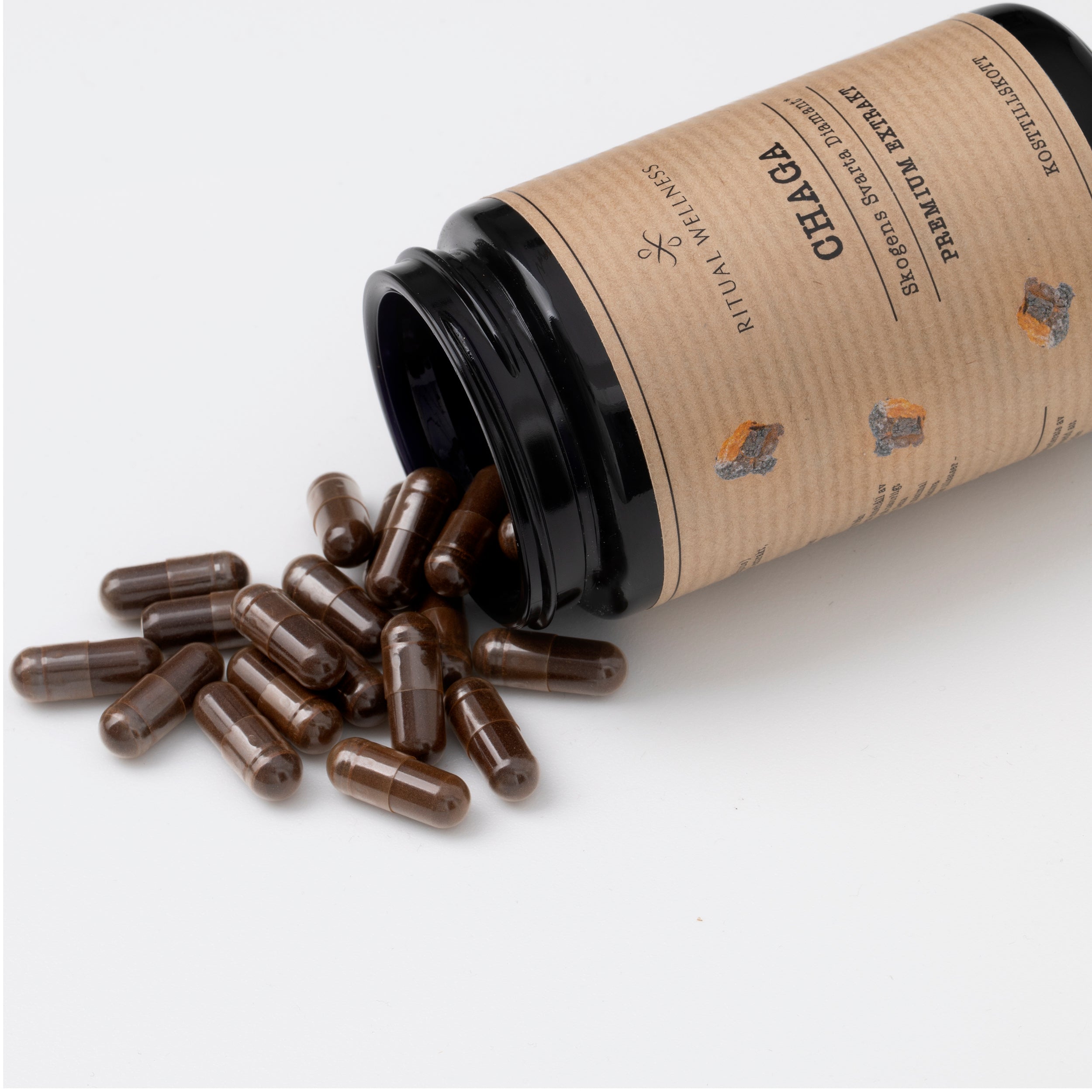 Chaga